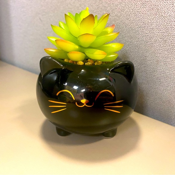 Faux Succulents Within Cute Plant Holders - Picture 3 of 6